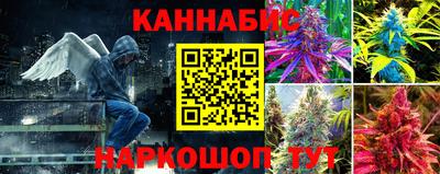 стафф Апшеронск