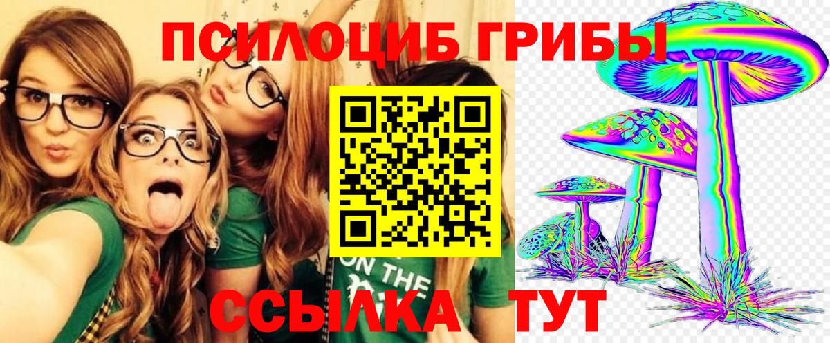 Богородицк  Галлюциногенные грибы мухоморы  как найти   Вход с VPN 